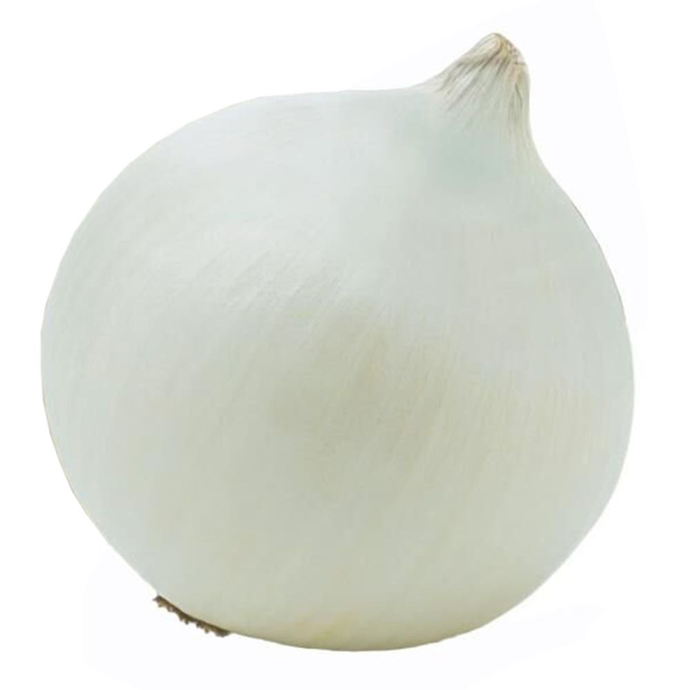 Cebola Branca Importada