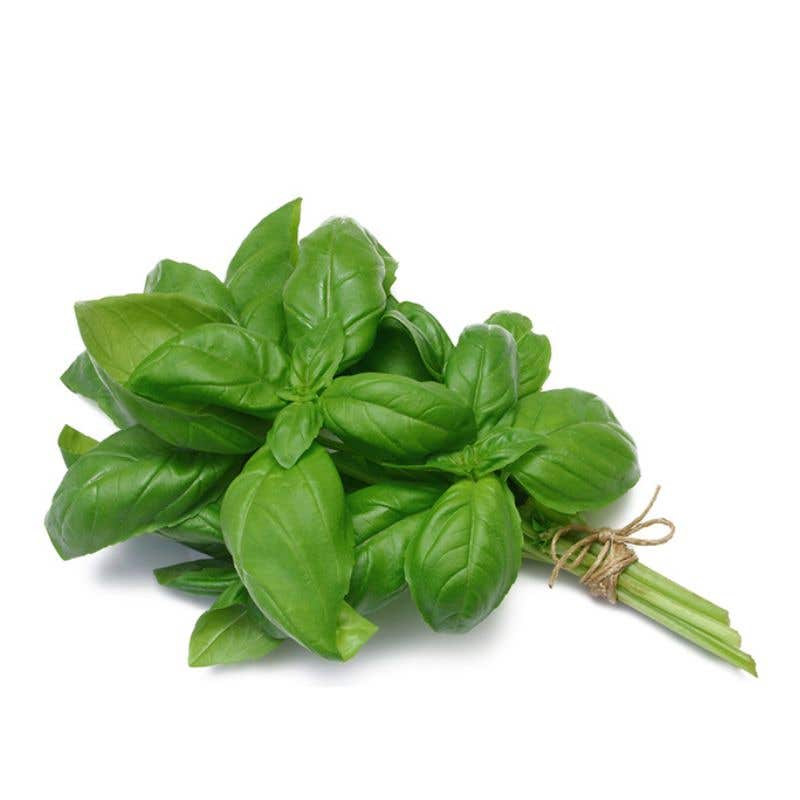 Alfavaca