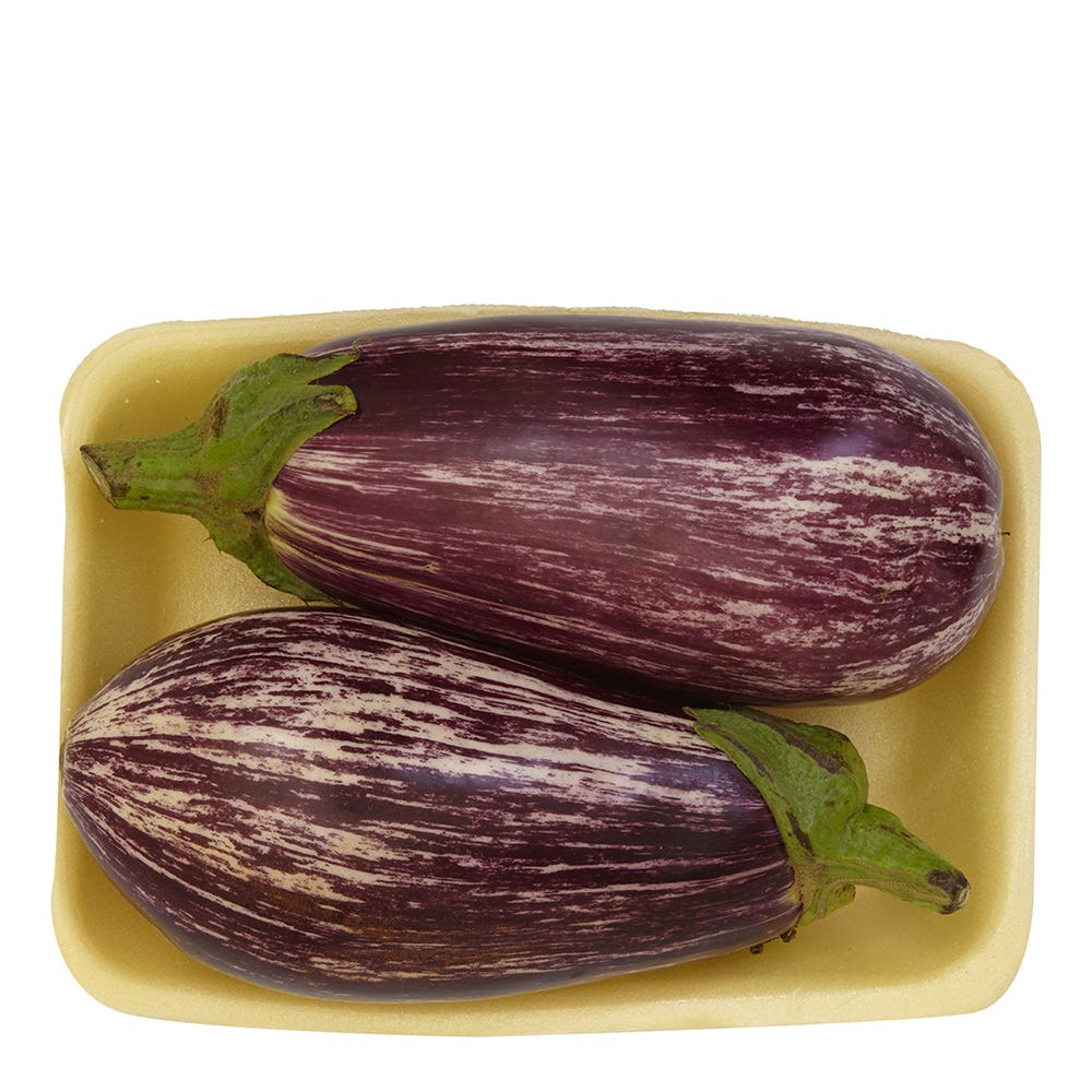 BERINJELA JAVANESA