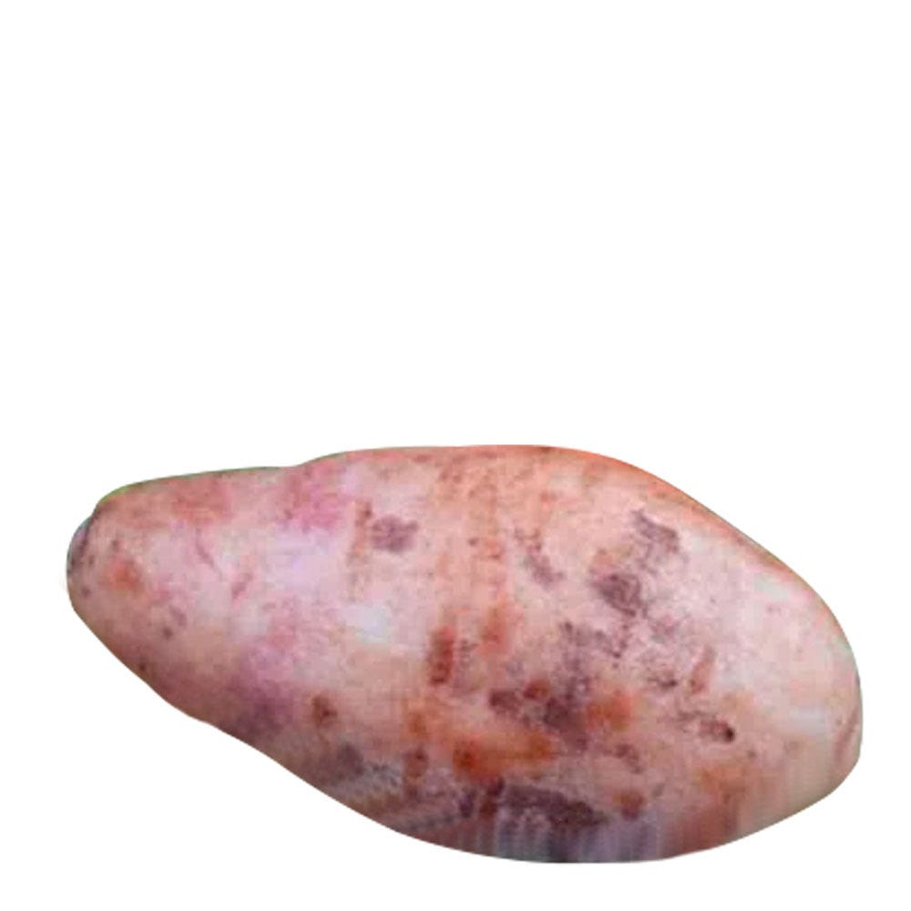 Batata Yacon Unidade