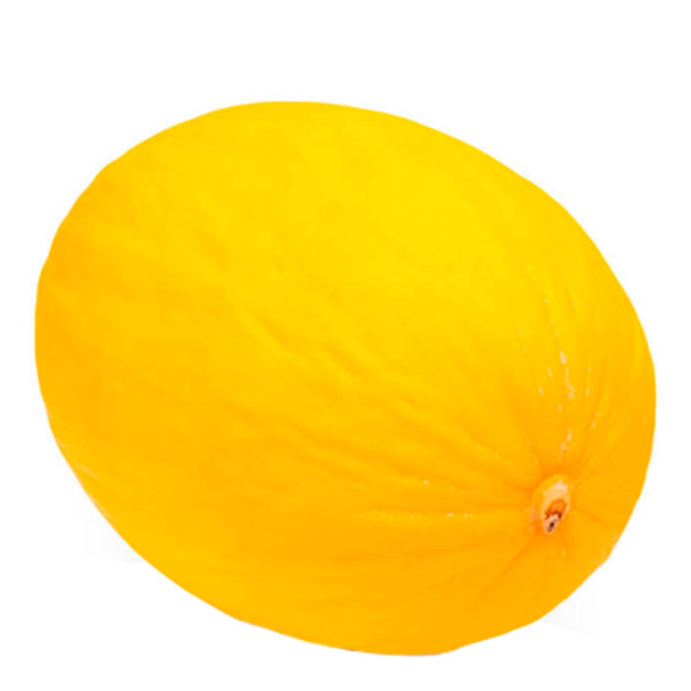 Melão Orgânico Unidade