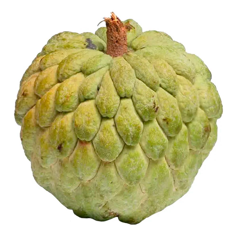 Pinha Unidade