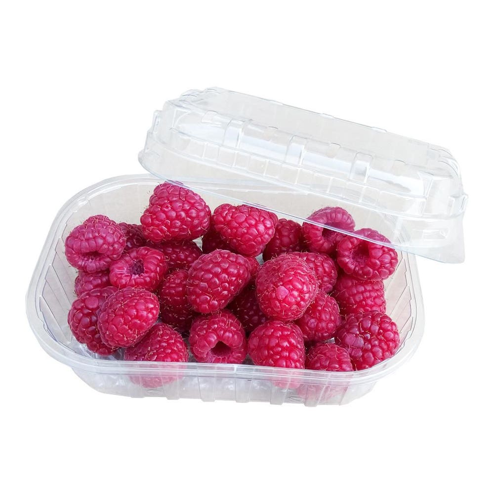 Framboesa Embalada 100g