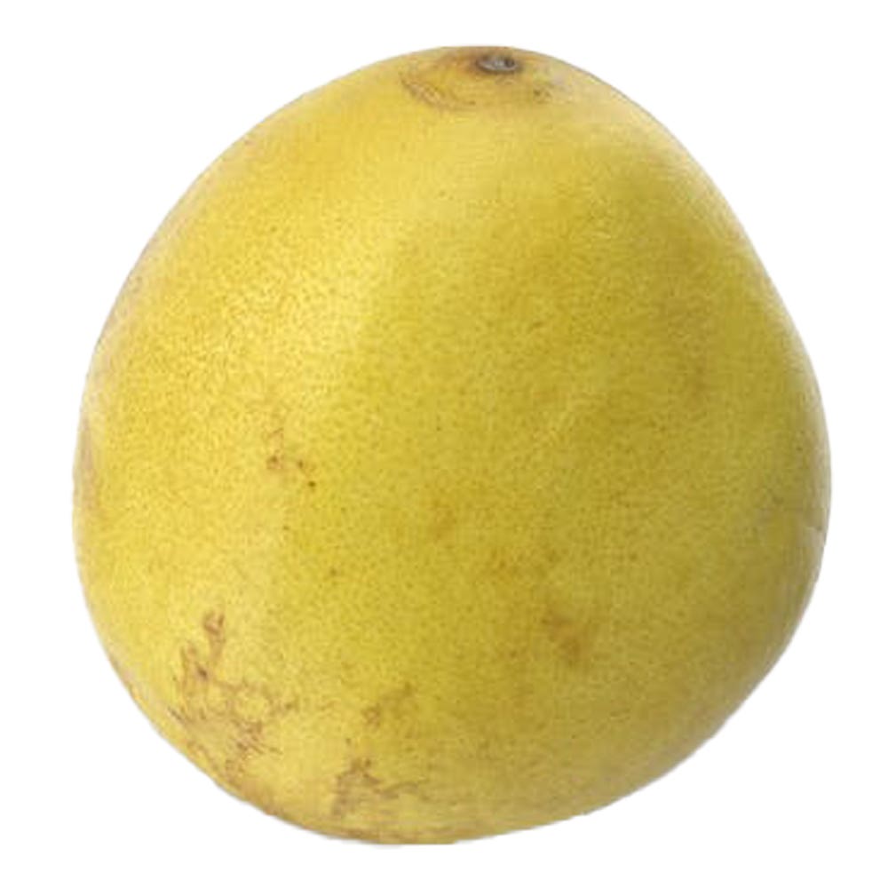 POMELO GRAPEFRUIT