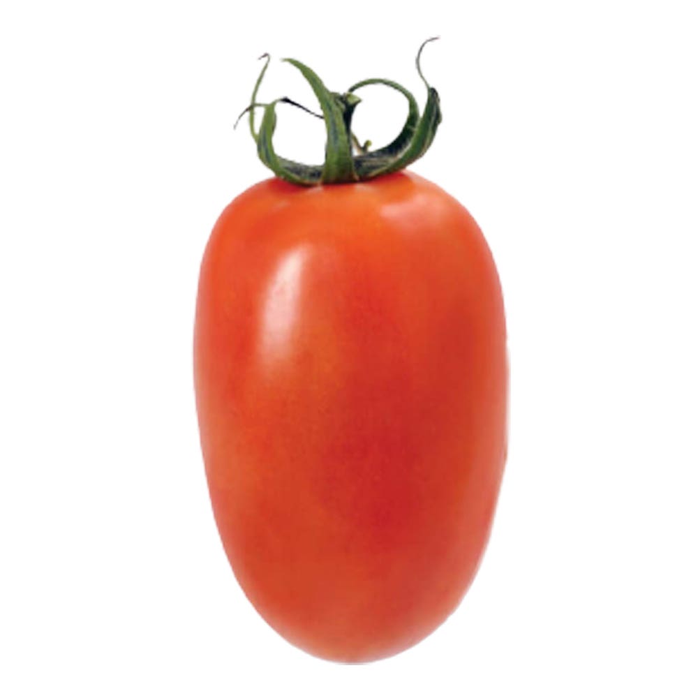 Tomate Italiano