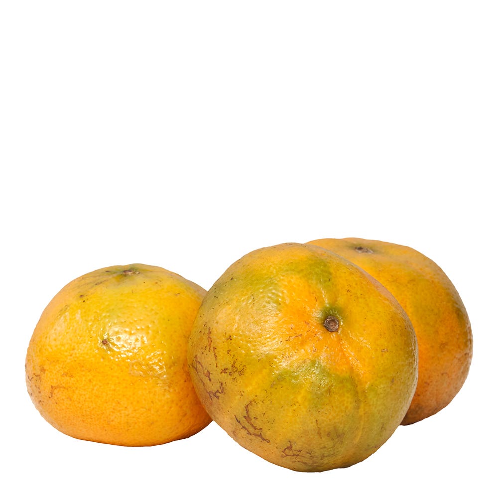Mexerica Murcote Unidade