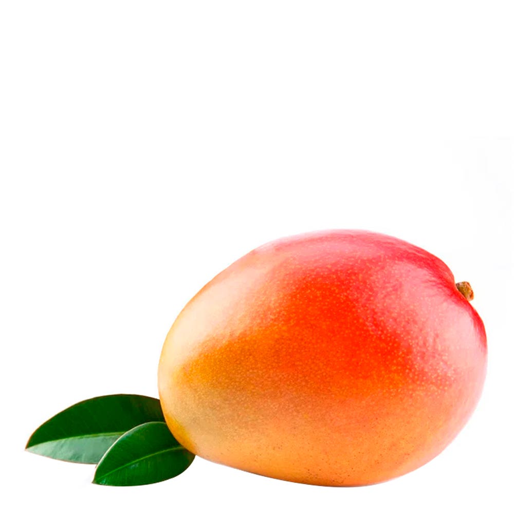 MANGA ROSA