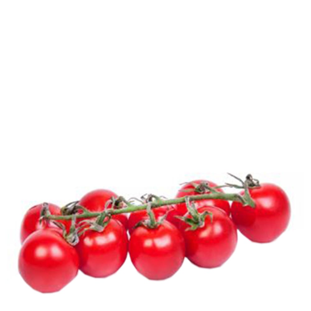 Tomate Coquetel