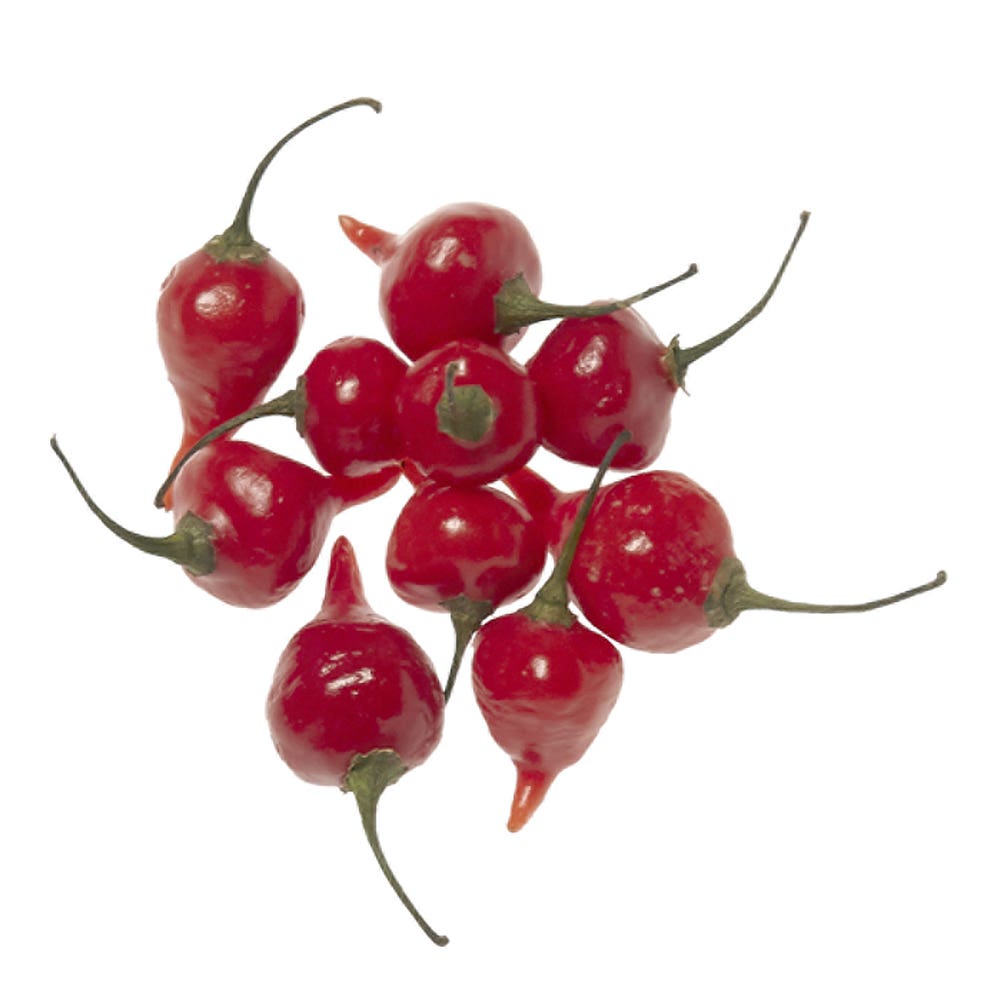 Pimenta Biquinho