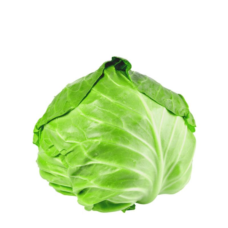 Repolho Verde Orgânico Unidade